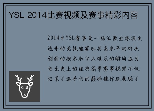 YSL 2014比赛视频及赛事精彩内容